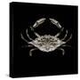 Coastal Crab 3-Victoria Brown-Stretched Canvas