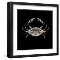 Coastal Crab 3-Victoria Brown-Framed Art Print