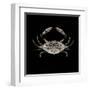 Coastal Crab 3-Victoria Brown-Framed Art Print