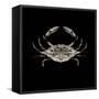 Coastal Crab 3-Victoria Brown-Framed Stretched Canvas