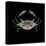 Coastal Crab 3-Victoria Brown-Stretched Canvas