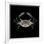 Coastal Crab 3-Victoria Brown-Framed Art Print