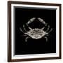 Coastal Crab 3-Victoria Brown-Framed Art Print