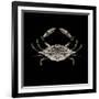 Coastal Crab 3-Victoria Brown-Framed Art Print