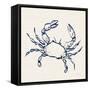 Coastal Crabs I-Mercedes Lopez Charro-Framed Stretched Canvas