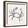 Coastal Crabs I-Mercedes Lopez Charro-Framed Art Print