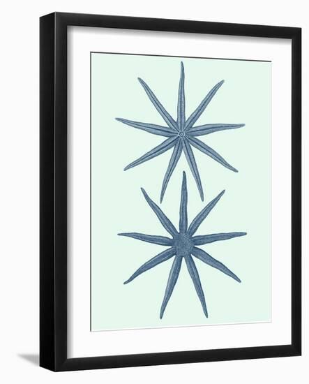 Coastal Curio II-Vision Studio-Framed Art Print