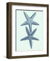 Coastal Curio III-Vision Studio-Framed Art Print