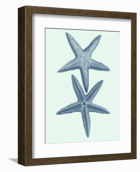 Coastal Curio III-Vision Studio-Framed Art Print