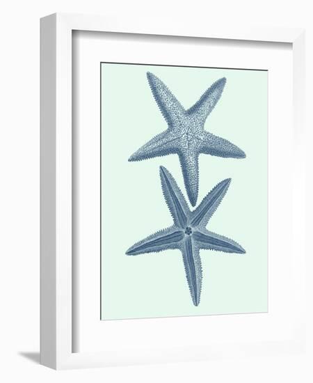 Coastal Curio III-Vision Studio-Framed Art Print