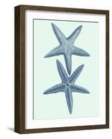 Coastal Curio III-Vision Studio-Framed Art Print