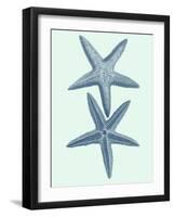 Coastal Curio III-Vision Studio-Framed Art Print