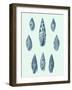 Coastal Curio IX-Vision Studio-Framed Art Print