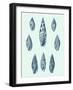 Coastal Curio IX-Vision Studio-Framed Art Print