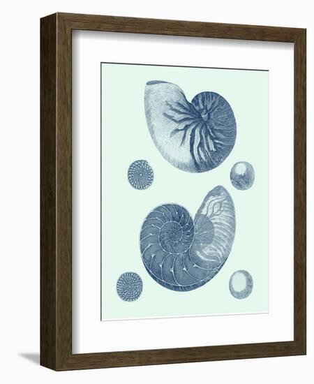 Coastal Curio VI-Vision Studio-Framed Art Print