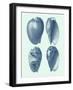 Coastal Curio VIII-Vision Studio-Framed Art Print