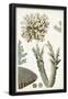 Essential Black