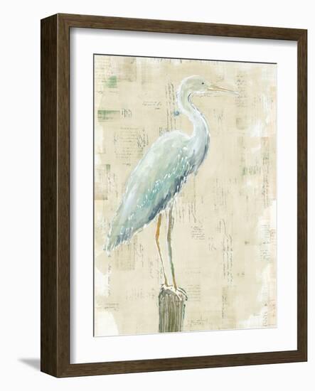 Coastal Egret I v2 no Aqua-Sue Schlabach-Framed Art Print