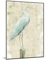 Coastal Egret I v2 no Aqua-Sue Schlabach-Mounted Art Print