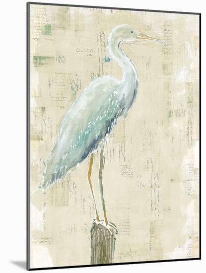 Coastal Egret I v2 no Aqua-Sue Schlabach-Mounted Art Print