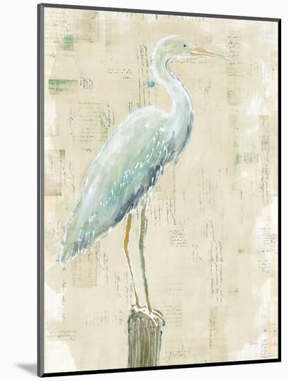 Coastal Egret I v2 no Aqua-Sue Schlabach-Mounted Art Print