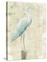 Coastal Egret I v2 no Aqua-Sue Schlabach-Stretched Canvas