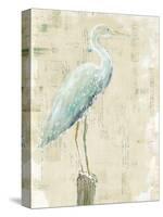 Coastal Egret I v2 no Aqua-Sue Schlabach-Stretched Canvas