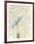 Coastal Egret I v2 no Aqua-Sue Schlabach-Framed Art Print