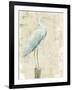 Coastal Egret I v2 no Aqua-Sue Schlabach-Framed Art Print