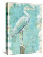 Coastal Egret I V2-Sue Schlabach-Stretched Canvas