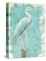 Coastal Egret I V2-Sue Schlabach-Stretched Canvas