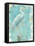 Coastal Egret I V2-Sue Schlabach-Framed Stretched Canvas