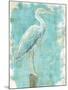 Coastal Egret I V2-Sue Schlabach-Mounted Art Print