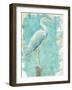 Coastal Egret I V2-Sue Schlabach-Framed Art Print