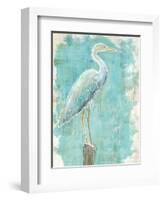 Coastal Egret I V2-Sue Schlabach-Framed Art Print