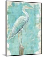 Coastal Egret I V2-Sue Schlabach-Mounted Art Print