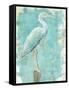 Coastal Egret I V2-Sue Schlabach-Framed Stretched Canvas