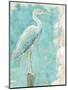 Coastal Egret I-Sue Schlabach-Mounted Art Print