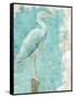 Coastal Egret I-Sue Schlabach-Framed Stretched Canvas