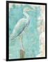 Coastal Egret I-Sue Schlabach-Framed Art Print