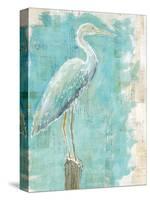 Coastal Egret I-Sue Schlabach-Stretched Canvas