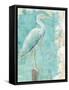 Coastal Egret I-Sue Schlabach-Framed Stretched Canvas