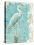 Coastal Egret I-Sue Schlabach-Stretched Canvas