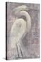 Coastal Egret I-Albena Hristova-Stretched Canvas