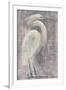 Coastal Egret I-Albena Hristova-Framed Art Print