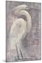 Coastal Egret I-Albena Hristova-Mounted Art Print