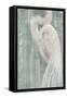 Coastal Egret II Green-Albena Hristova-Framed Stretched Canvas