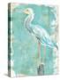 Coastal Egret II V2-Sue Schlabach-Stretched Canvas