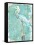 Coastal Egret II V2-Sue Schlabach-Framed Stretched Canvas