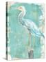 Coastal Egret II V2-Sue Schlabach-Stretched Canvas